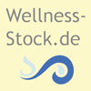 Hier kommen Sie zur groen WEB-Seite von WELLNESS-STOCK